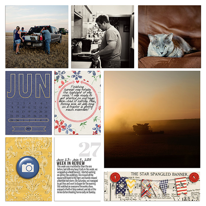 Project 2015- Week 27 (left)