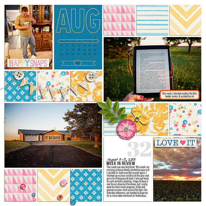 Project 2015: Week 32 (left)