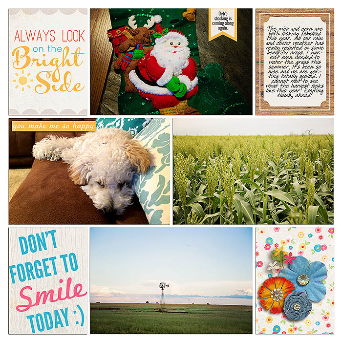 Project 2015: Week 32 (right)