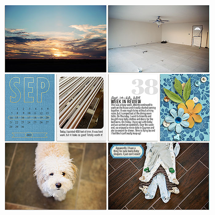 Project 2015: Week 38 (left)