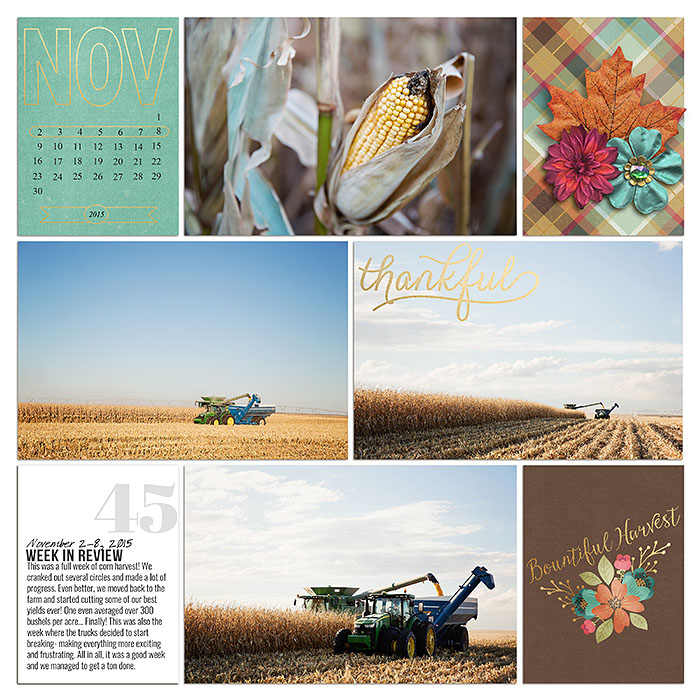 Project 2015- Week 45 (left)