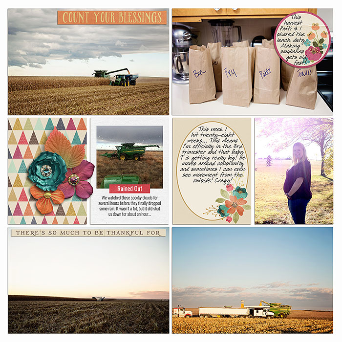 Project 2015- Week 45 (right)