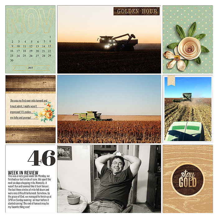 Project 2015- Week 46 (left)