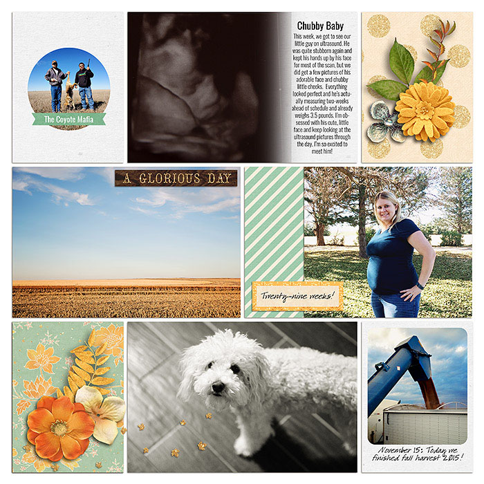 Project 2015- Week 46 (right)