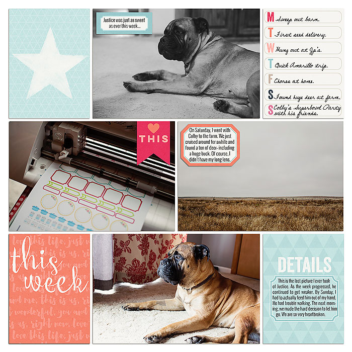 Project 2015- Week 5 (right)