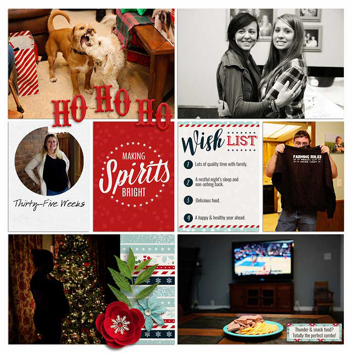 Project 2015- Week 52 (right)