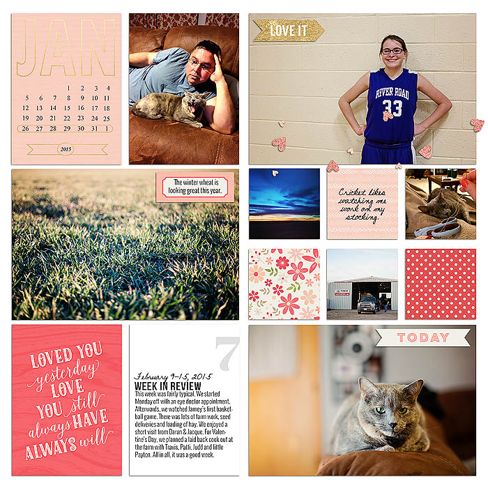 Project 2015- Week 7 (left)