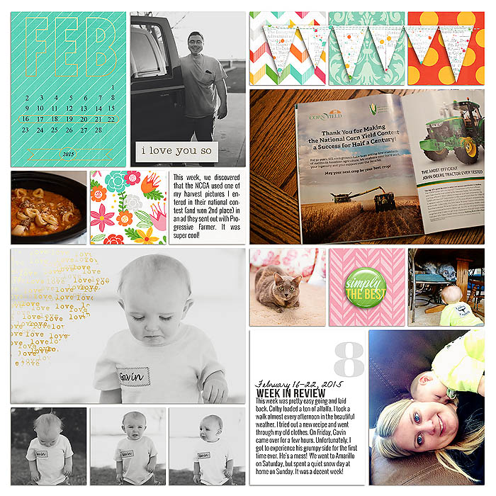 Project 2015- Week 8 (left)