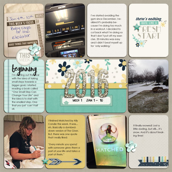 Project 2016 week 1