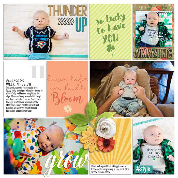 Project 2016- Week 11 (left)