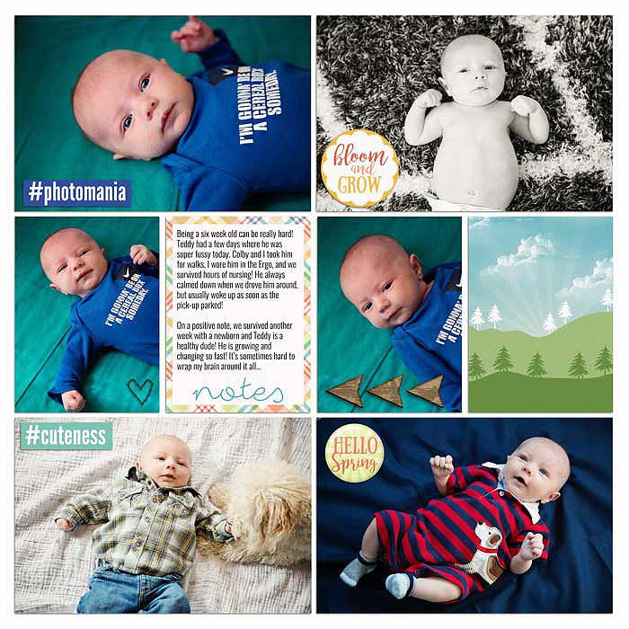Project 2016- Week 11 (right)