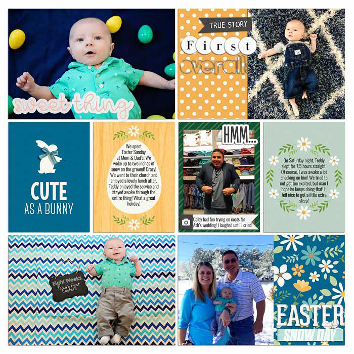Project 2016- Week 12 (right)