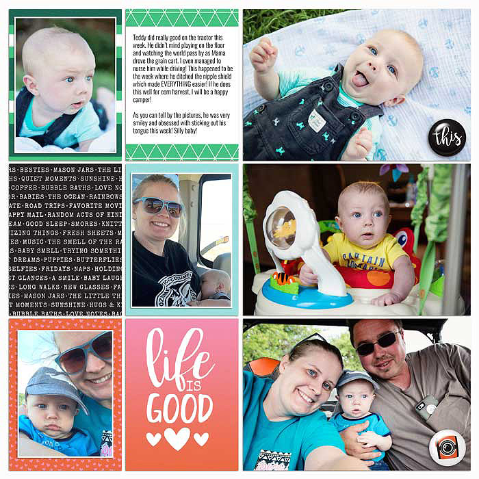 Project 2016- Week 25 (left)