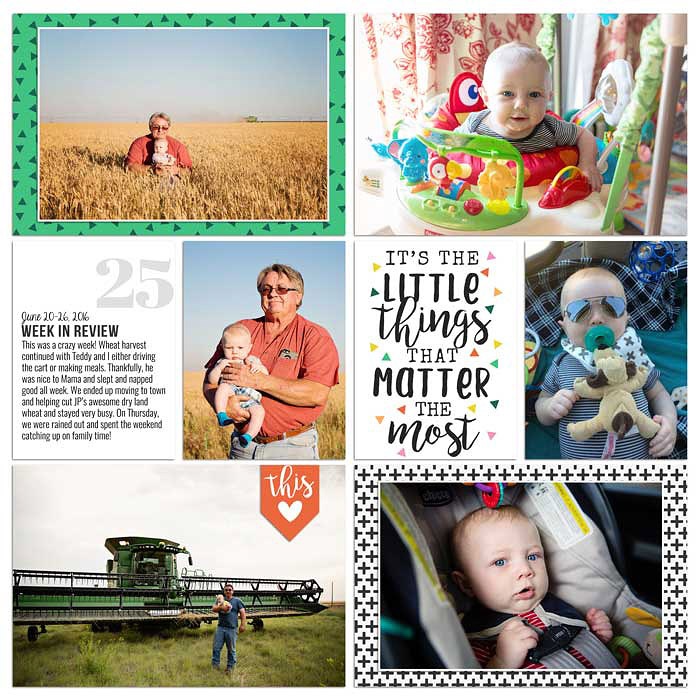 Project 2016- Week 25 (right)