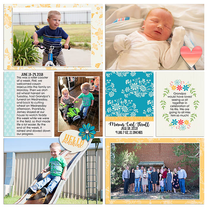 Project 2018- Week 25 (left)