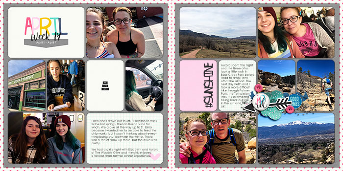Project 2019 week 14