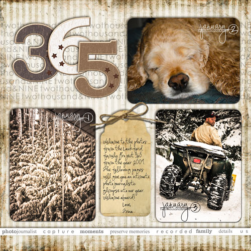 Project 365 - Week 1 (January 1-3)