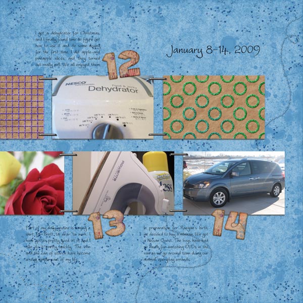 Project 365 Week 2 Page 2