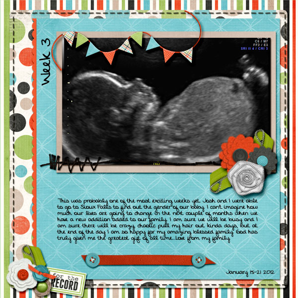 Project 365 week 3 (left page)