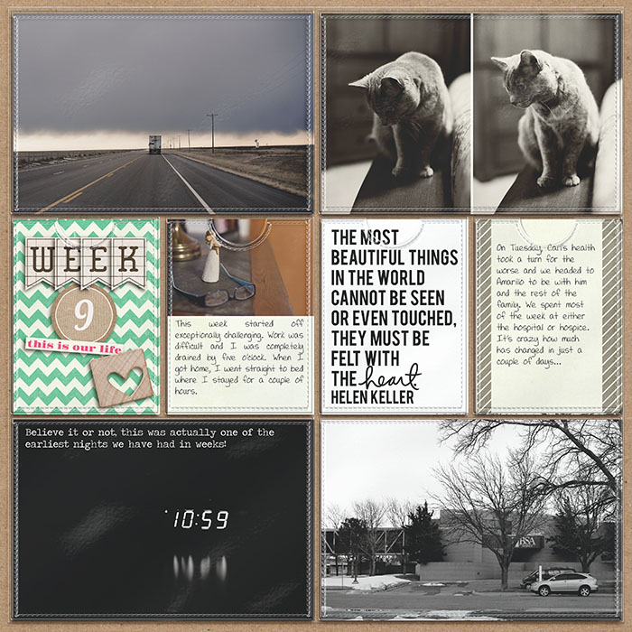 Project Life: 2013- Week Nine (left)
