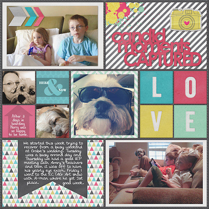 Project Life 2014 Week 14 Left