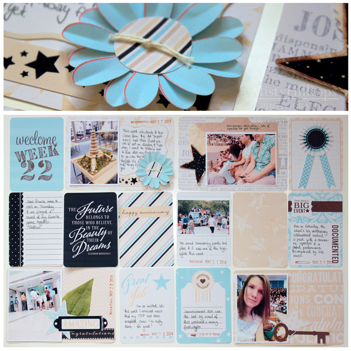 Project Life 2014 - Week 22