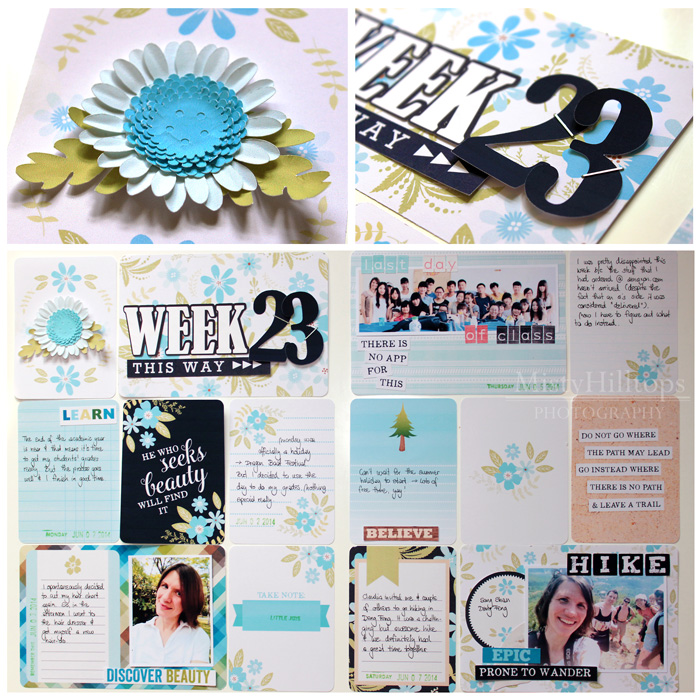 Project Life 2014 - Week 23