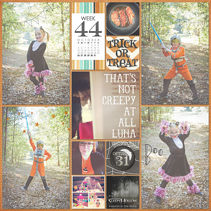Project Life 2014 Week 44 Right