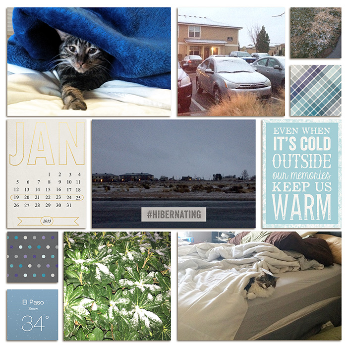 Project Life 2015 Week 04