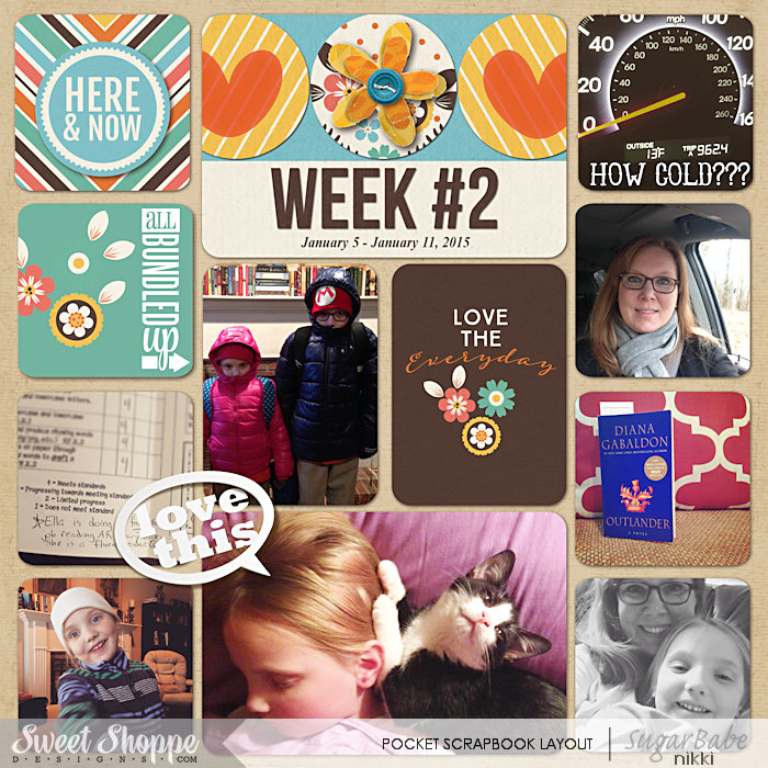 Project Life 2015 Week 2 Right