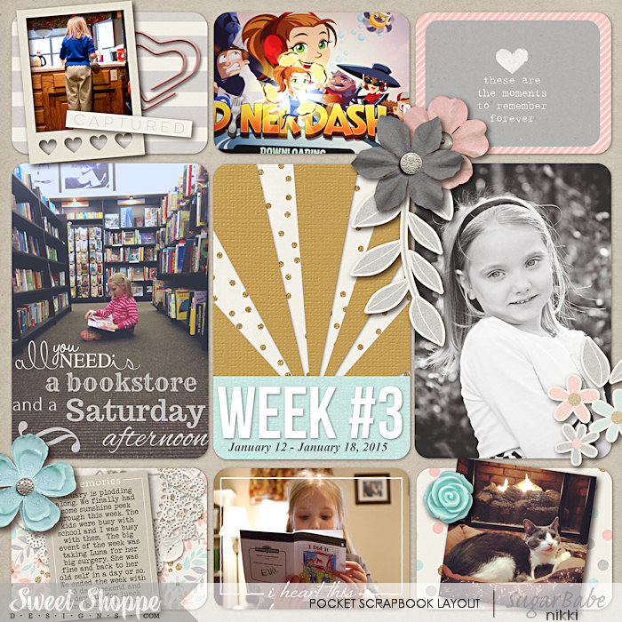Project Life 2015 Week 3 Left