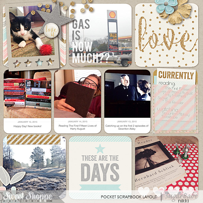 Project Life 2015 Week 3 Left