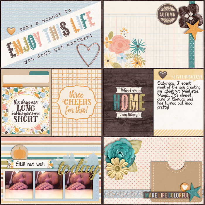 Project Life 2015 - Week 43 right