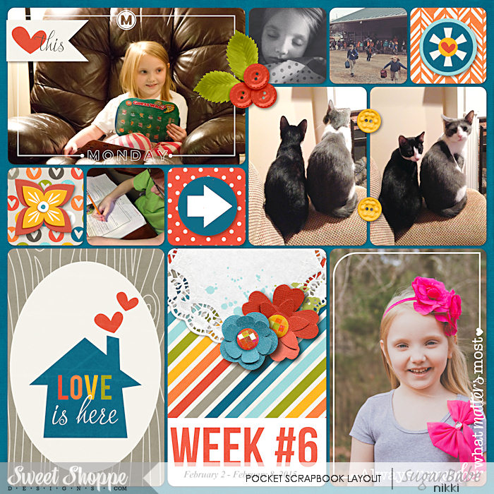 Project Life 2015 Week 6 Left