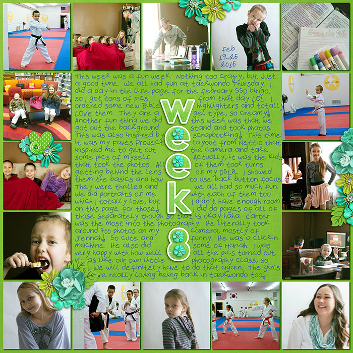 Project Life 2015 - Week 8 - Feb 19-25