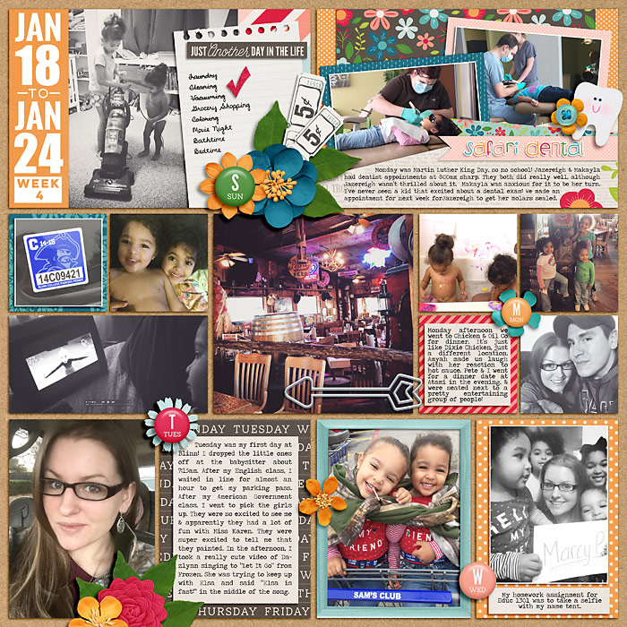 Project Life 2015
