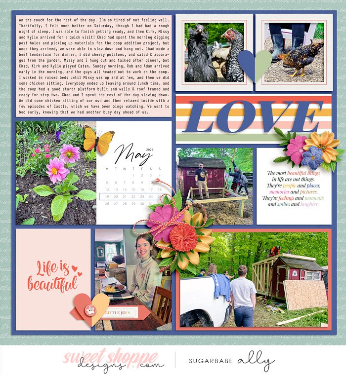 Project Life 2025 week 21, right