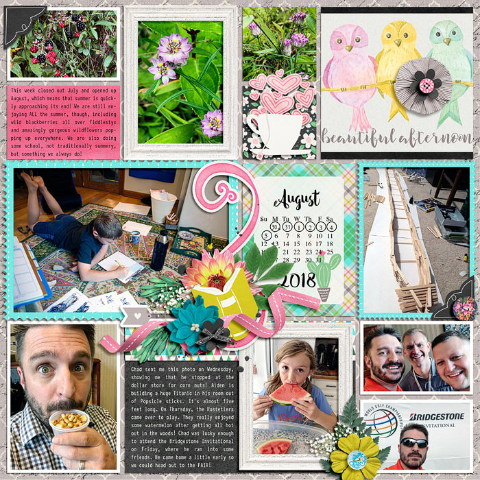 Project life 31 left