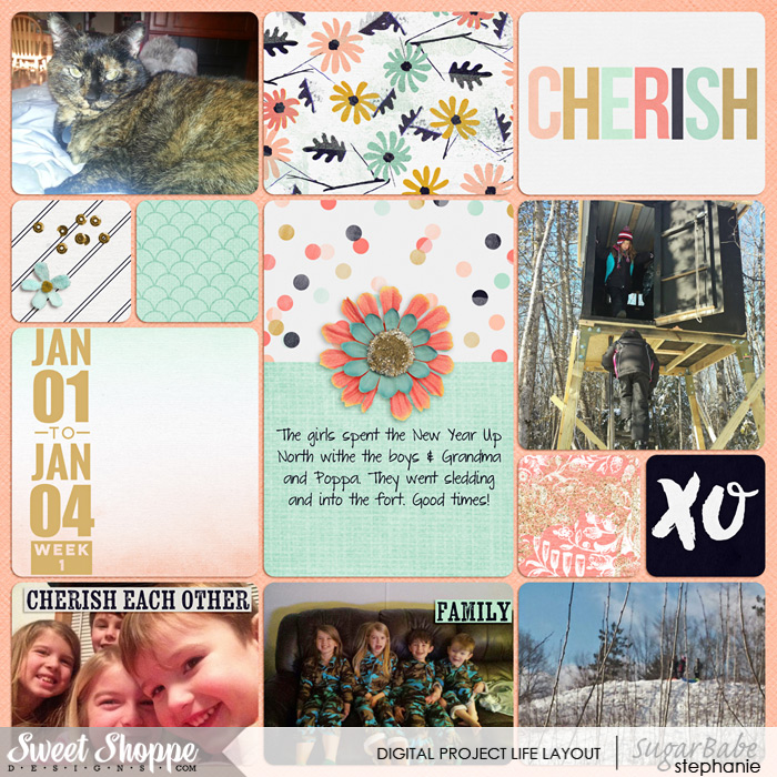 Project Life Week 1 (LEFT)