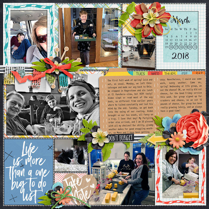 Project Life week 13