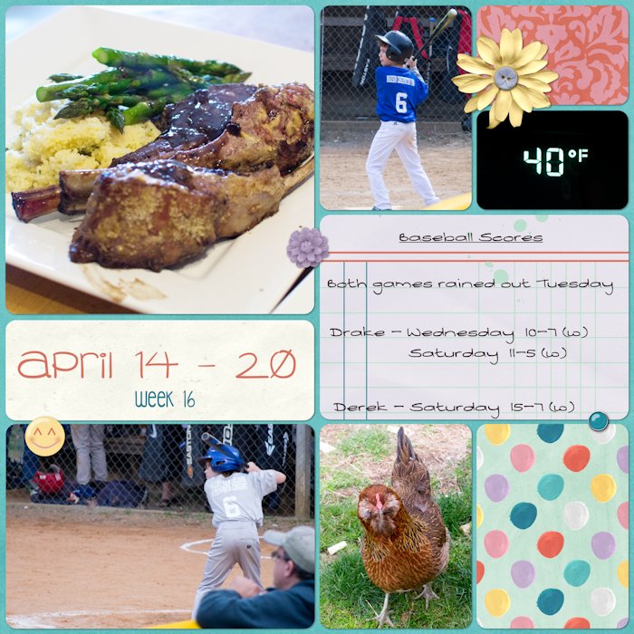 Project Life - week 16