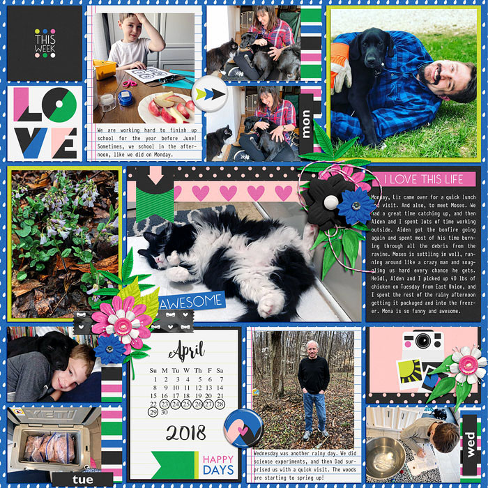 Project life week 17 01