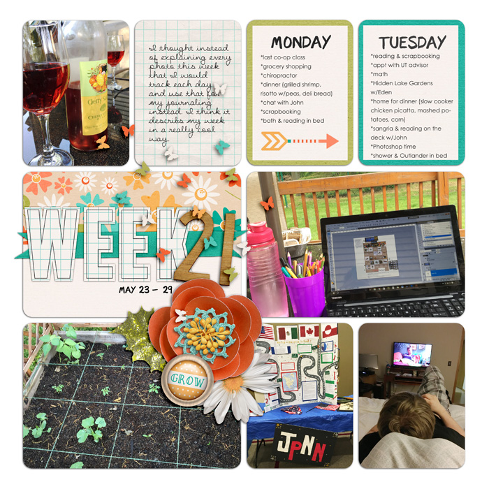 Project Life Week 21