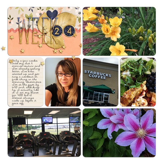 Project Life Week 24
