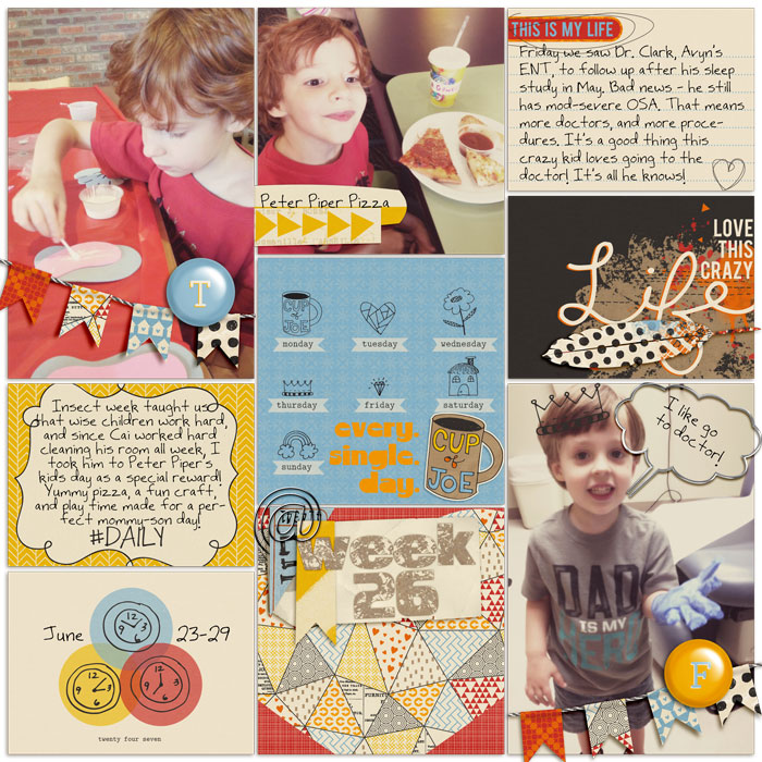 Project Life Week 26 2014