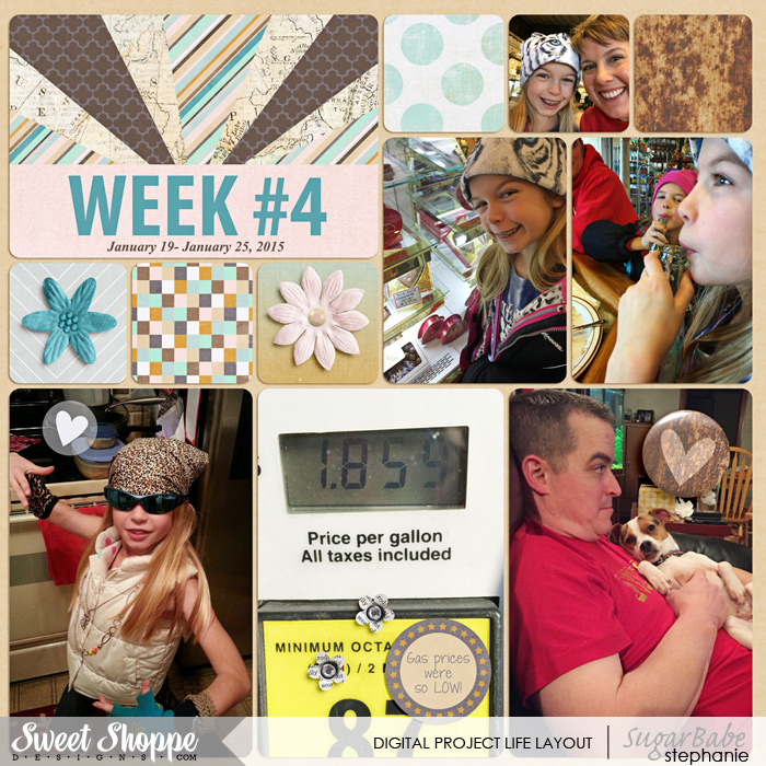 Project Life Week 4