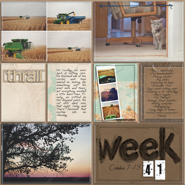 Project Life- Week 41 (left)