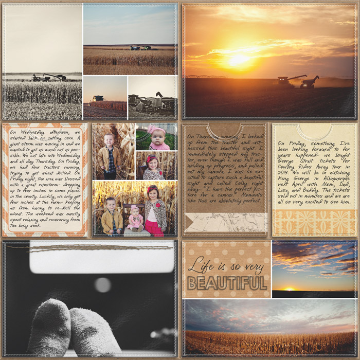 Project Life- Week 41 (right)