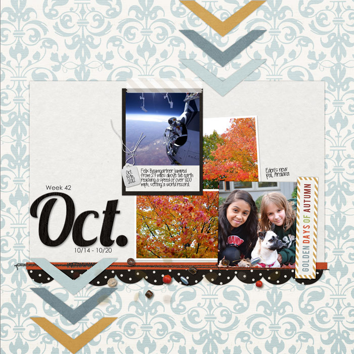 Project Life week 42
