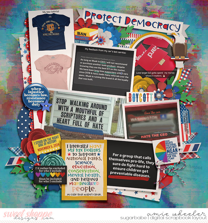 Protect Democracy